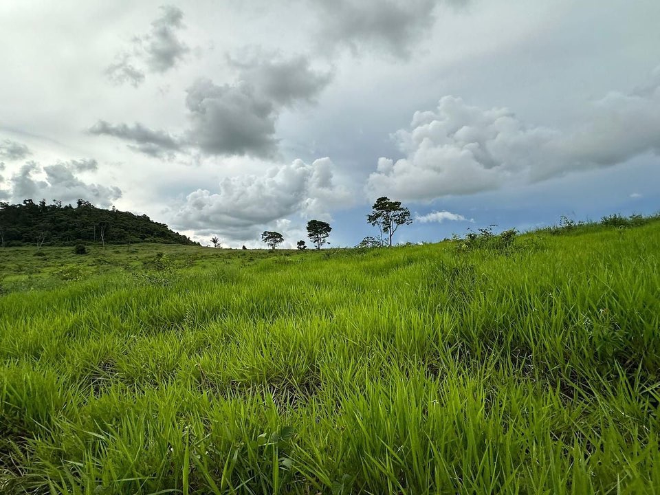 Fazenda à venda, 164m² - Foto 2