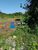 Terreno, 1527 m² - Foto 6