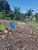 Terreno, 300 m² - Foto 2
