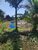 Terreno, 300 m² - Foto 4