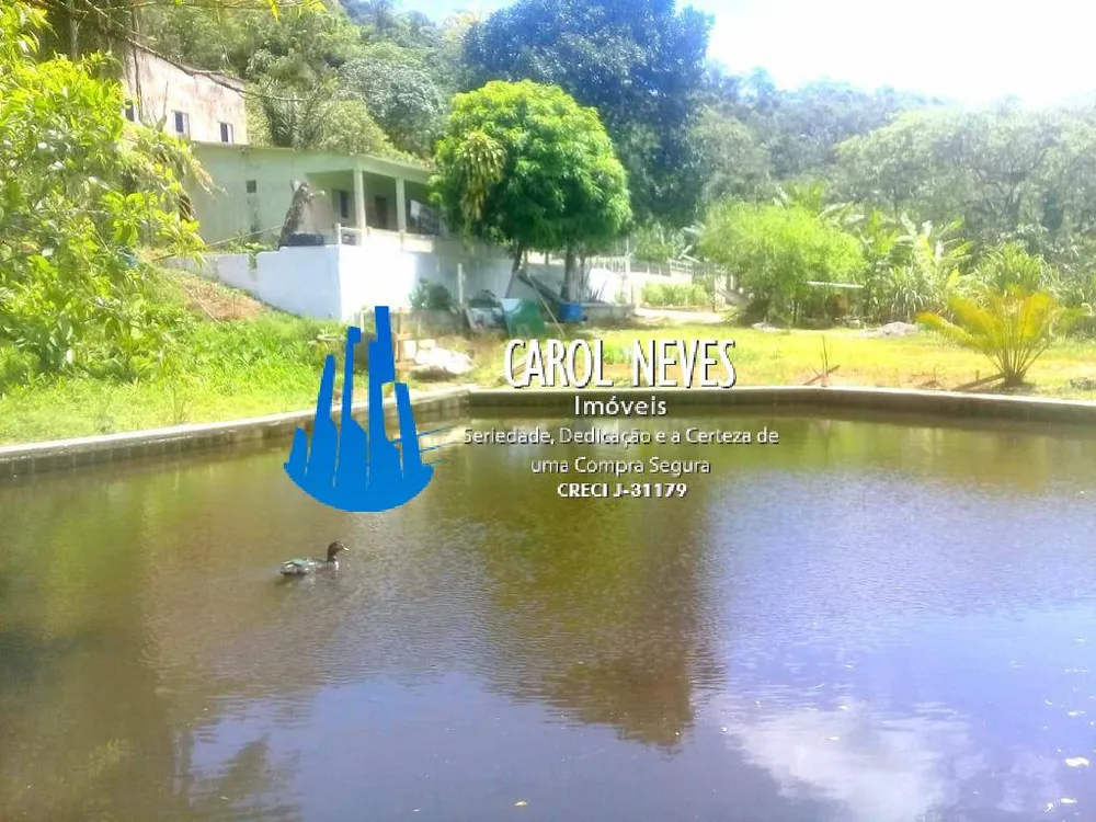 Sítio, 2 quartos, 6 hectares - Foto 4