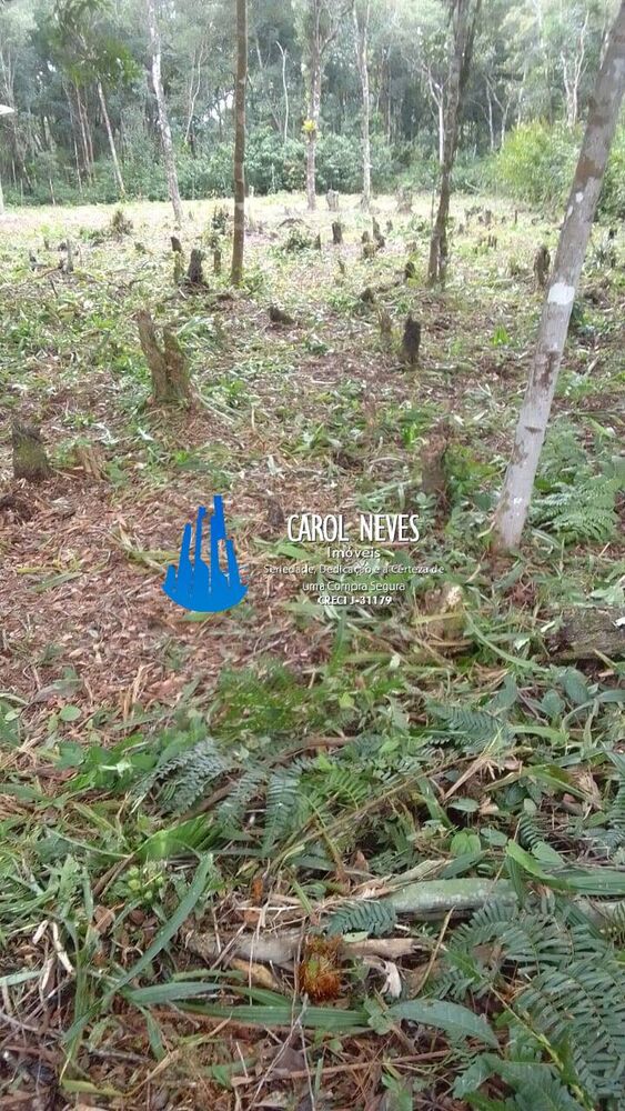 Terreno à venda, 1200m² - Foto 1