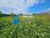 Terreno, 420 m² - Foto 3
