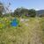 Terreno, 255 m² - Foto 1