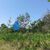 Terreno, 255 m² - Foto 4