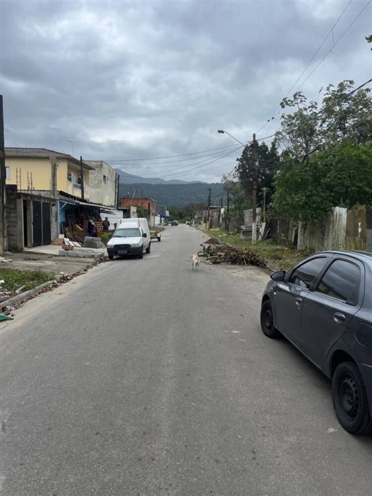 Terreno para alugar - Foto 4