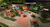 Terreno, 250 m² - Foto 3