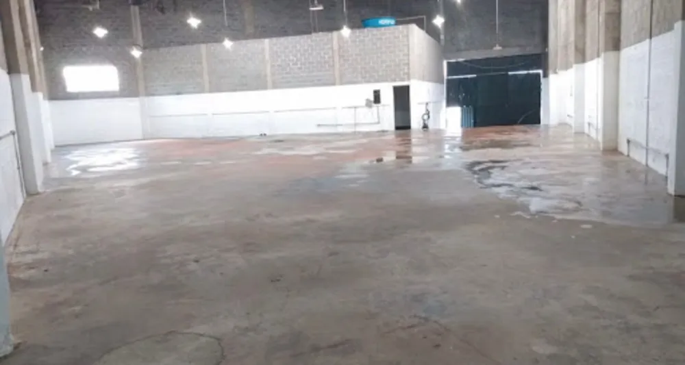 Depósito-Galpão, 740 m² - Foto 3