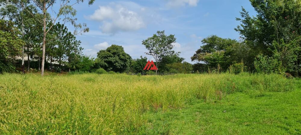 Terreno, 3040 m² - Foto 6