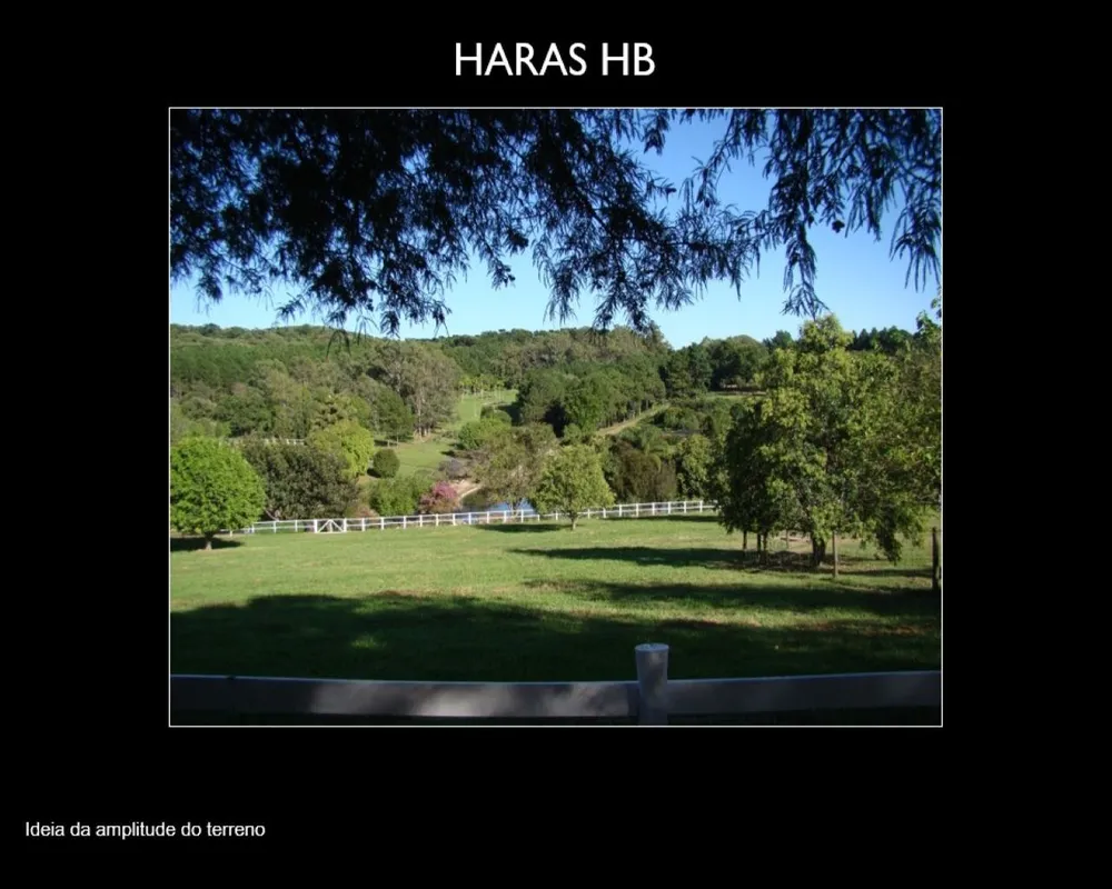 Fazenda, 64 hectares - Foto 7