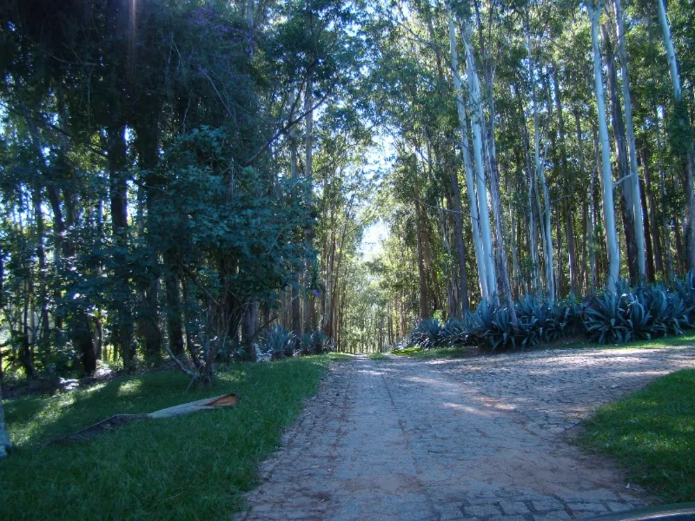 Fazenda, 64 hectares - Foto 2