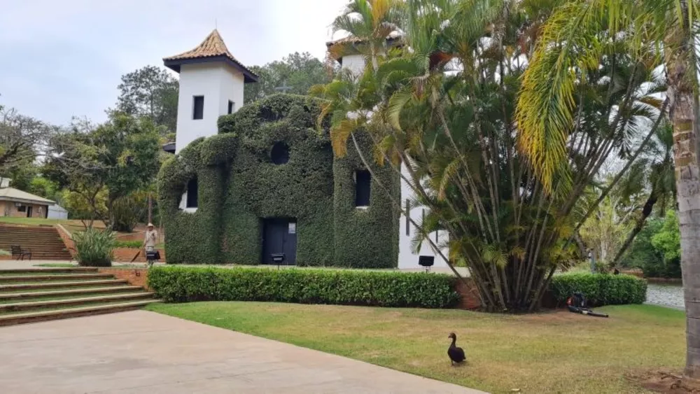 Terreno, 3000 m² - Foto 6