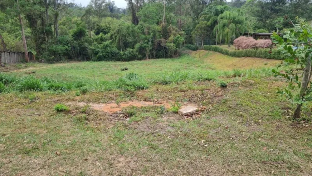 Terreno, 3000 m² - Foto 4