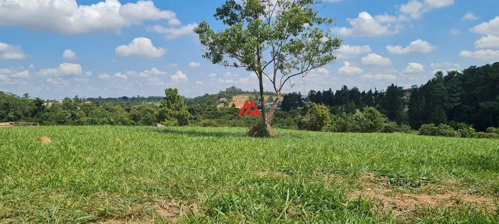 Terreno, 2799 m² - Foto 3