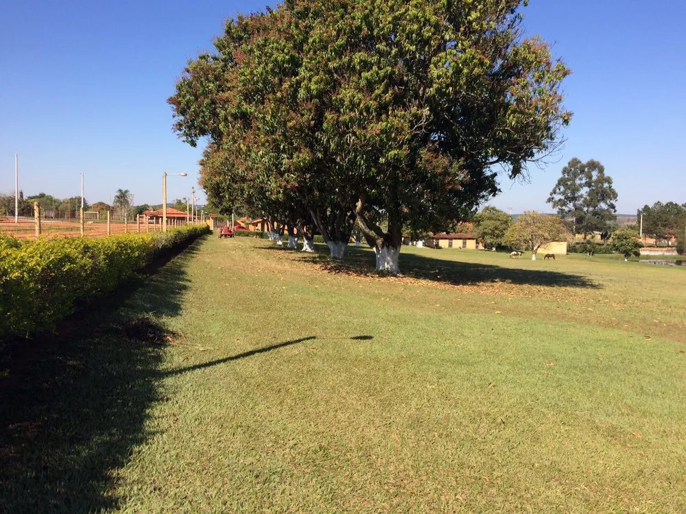 Casa, 6 quartos - Foto 4