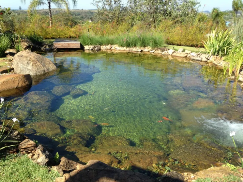 Casa, 6 quartos, 3595 m² - Foto 4