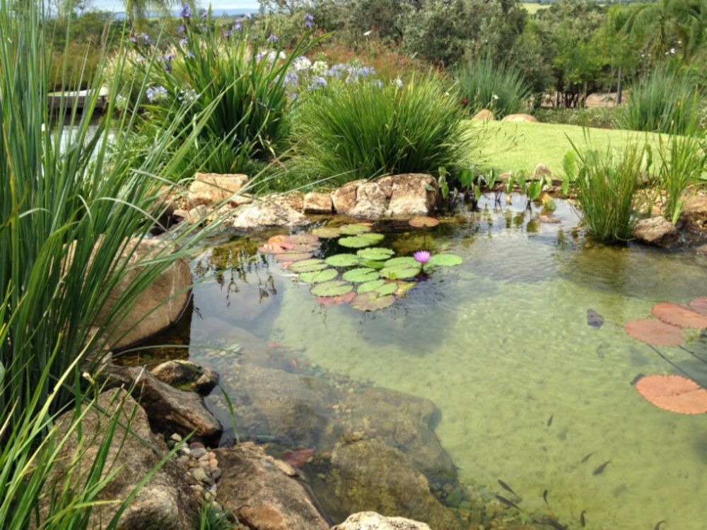 Casa, 6 quartos, 3595 m² - Foto 5