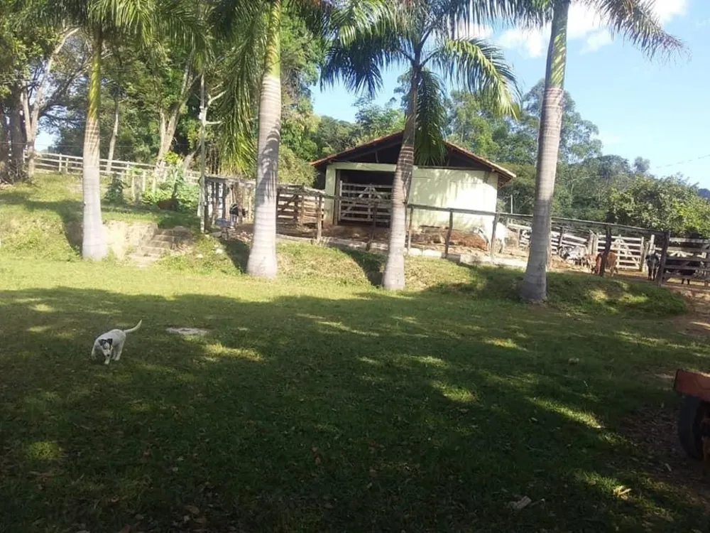 Terreno - Foto 2