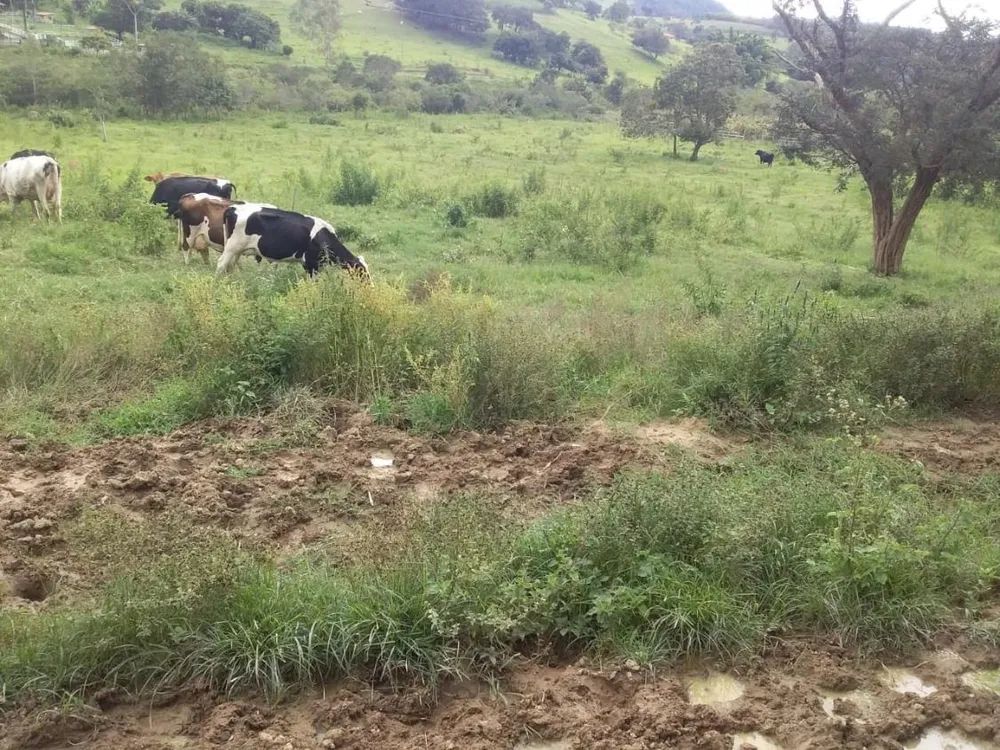 Terreno - Foto 3