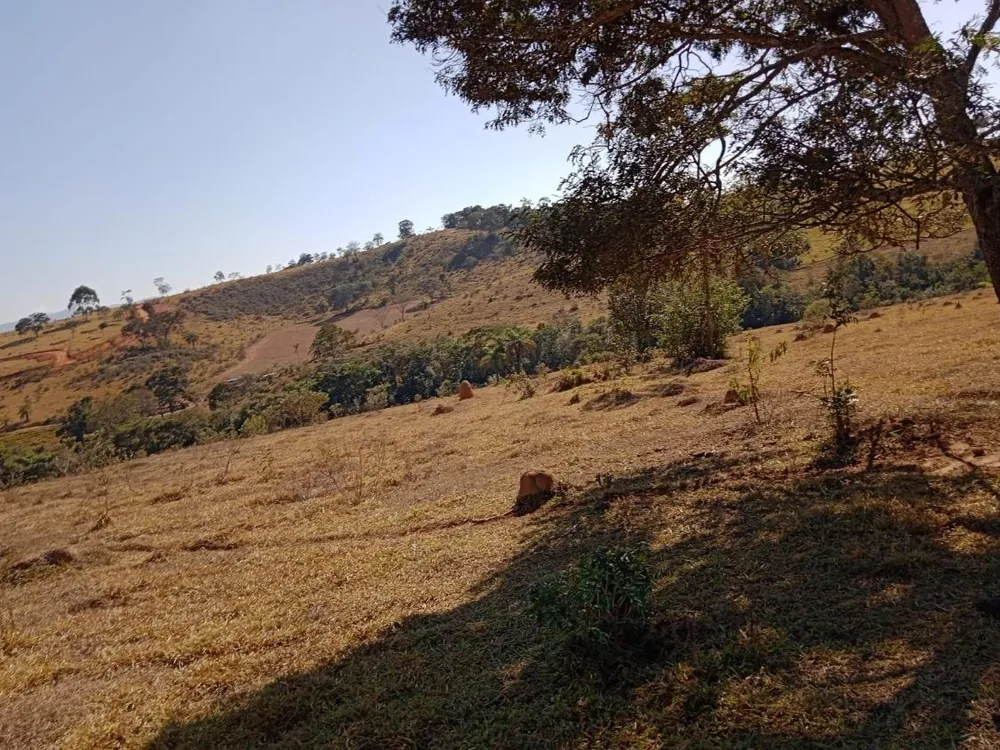 Fazenda - Foto 1