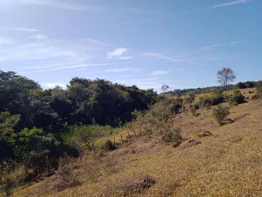 Fazenda - Foto 3