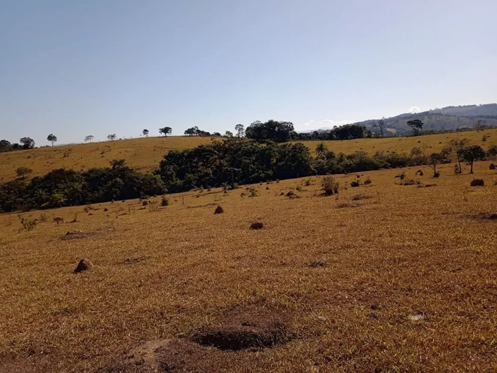 Fazenda - Foto 2