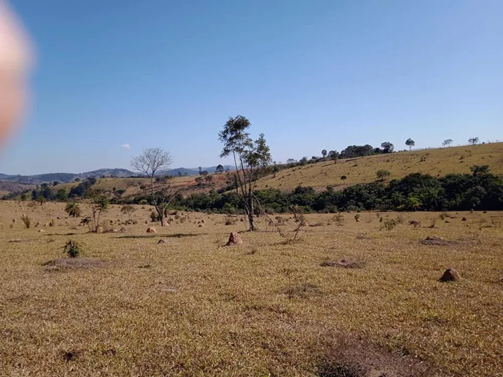 Fazenda - Foto 4