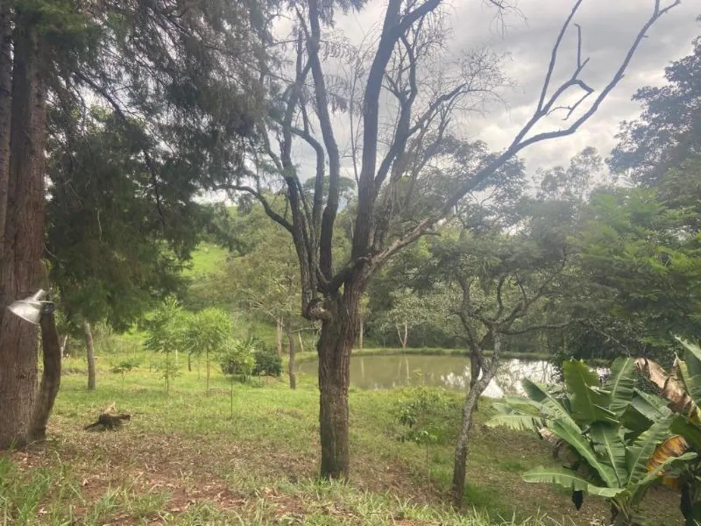 Sítio, 3 quartos, 1600 m² - Foto 3