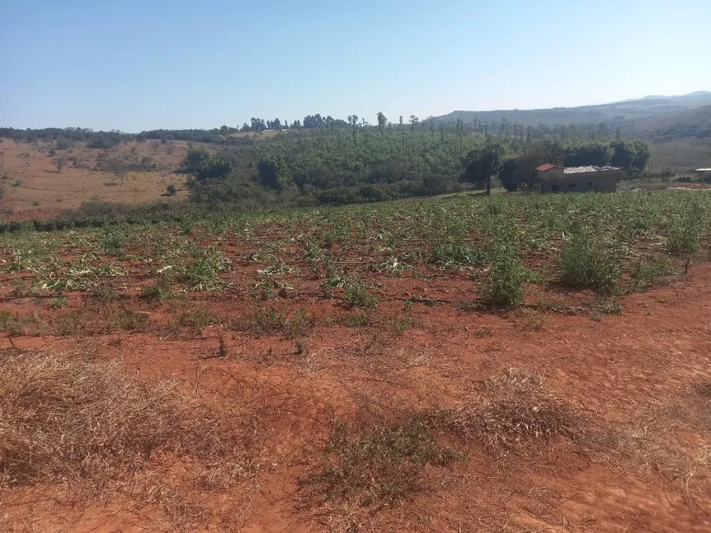 Terreno - Foto 4