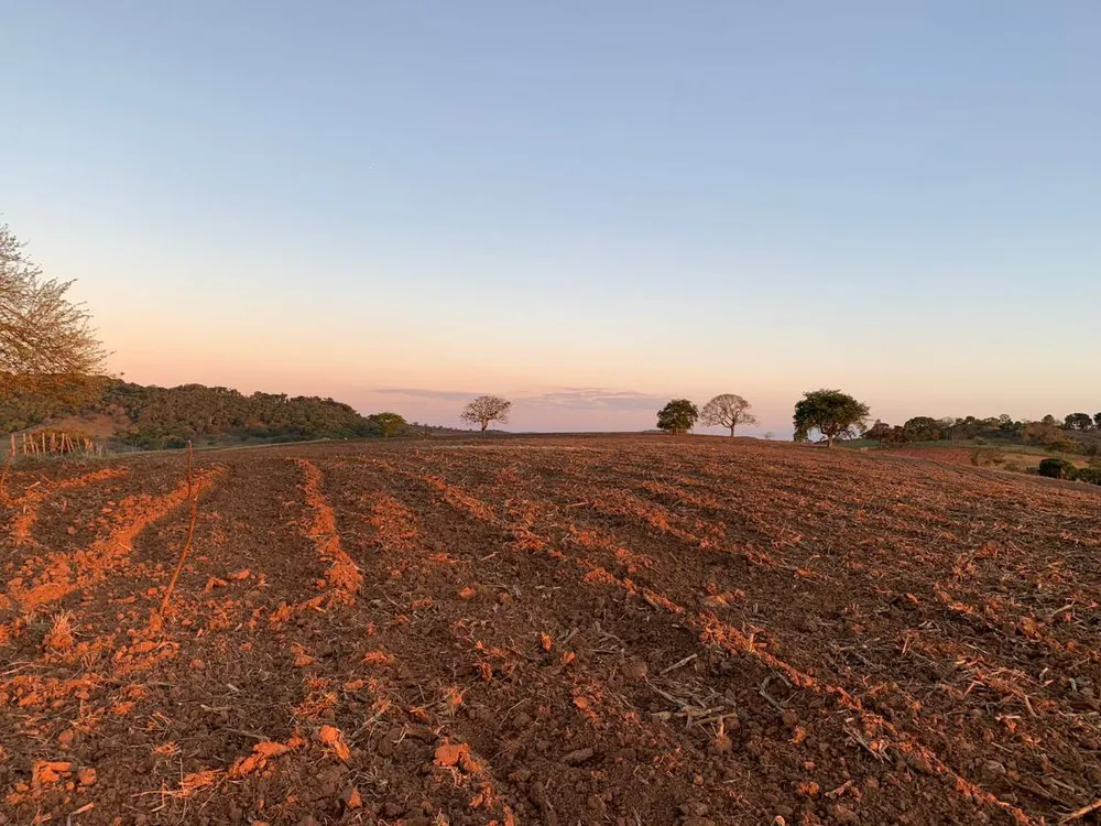Fazenda - Foto 2