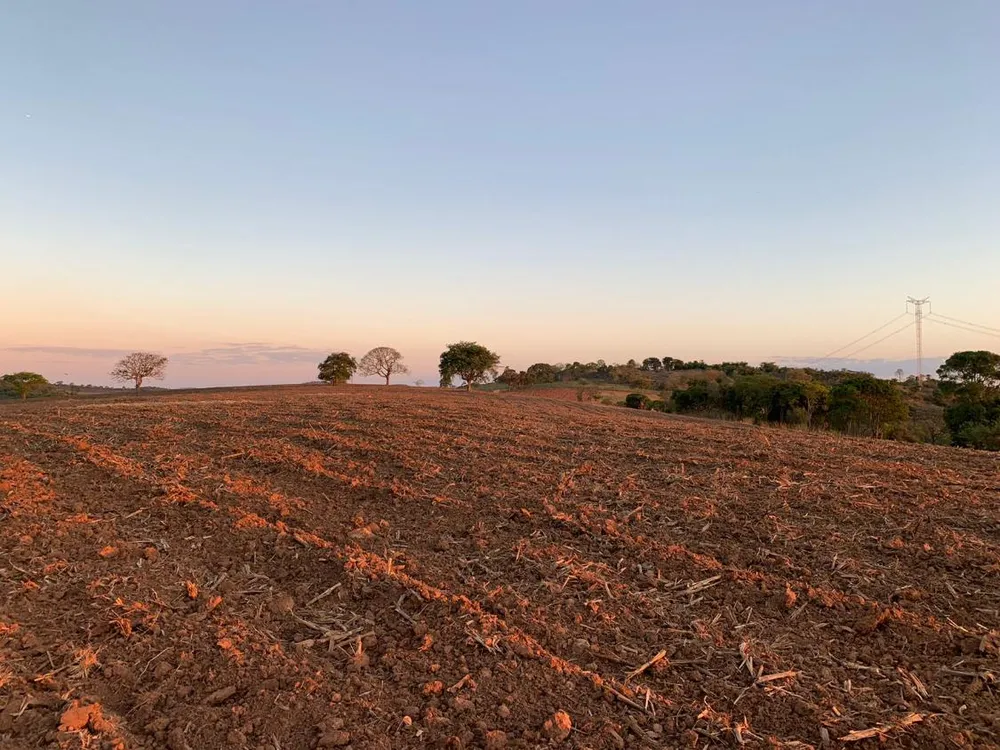 Fazenda - Foto 4