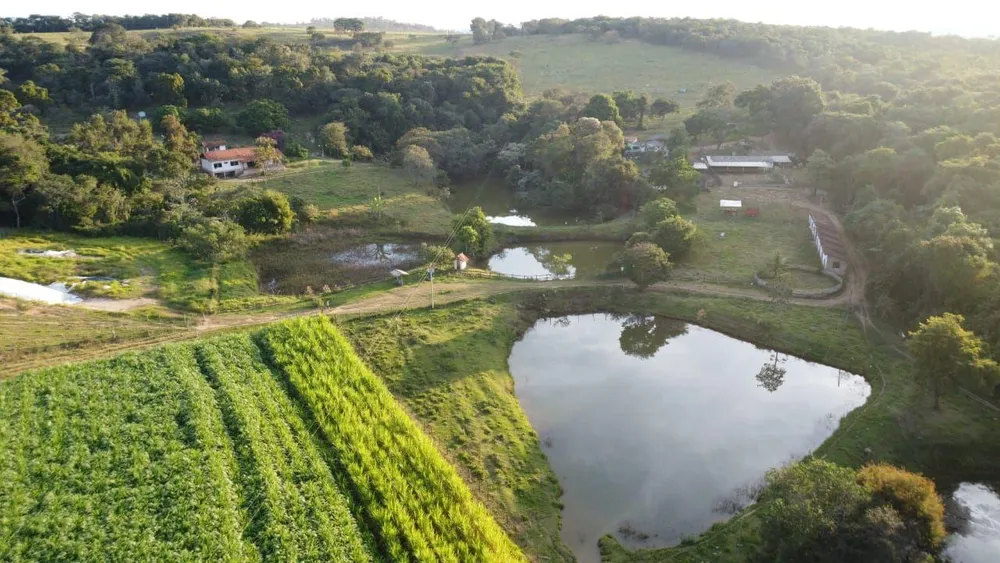 Fazenda - Foto 1