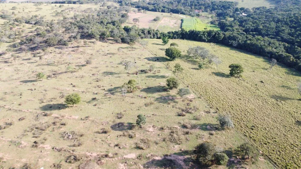 Fazenda - Foto 4