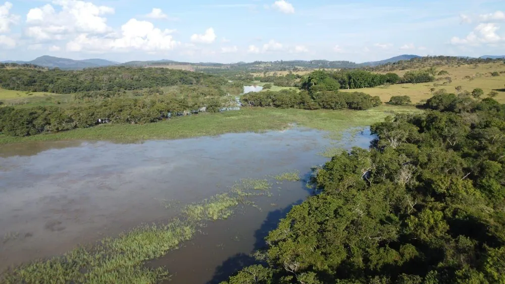 Fazenda - Foto 3