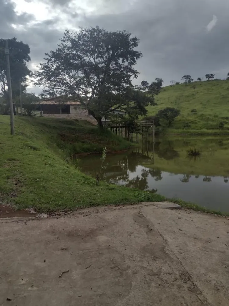 Fazenda - Foto 3
