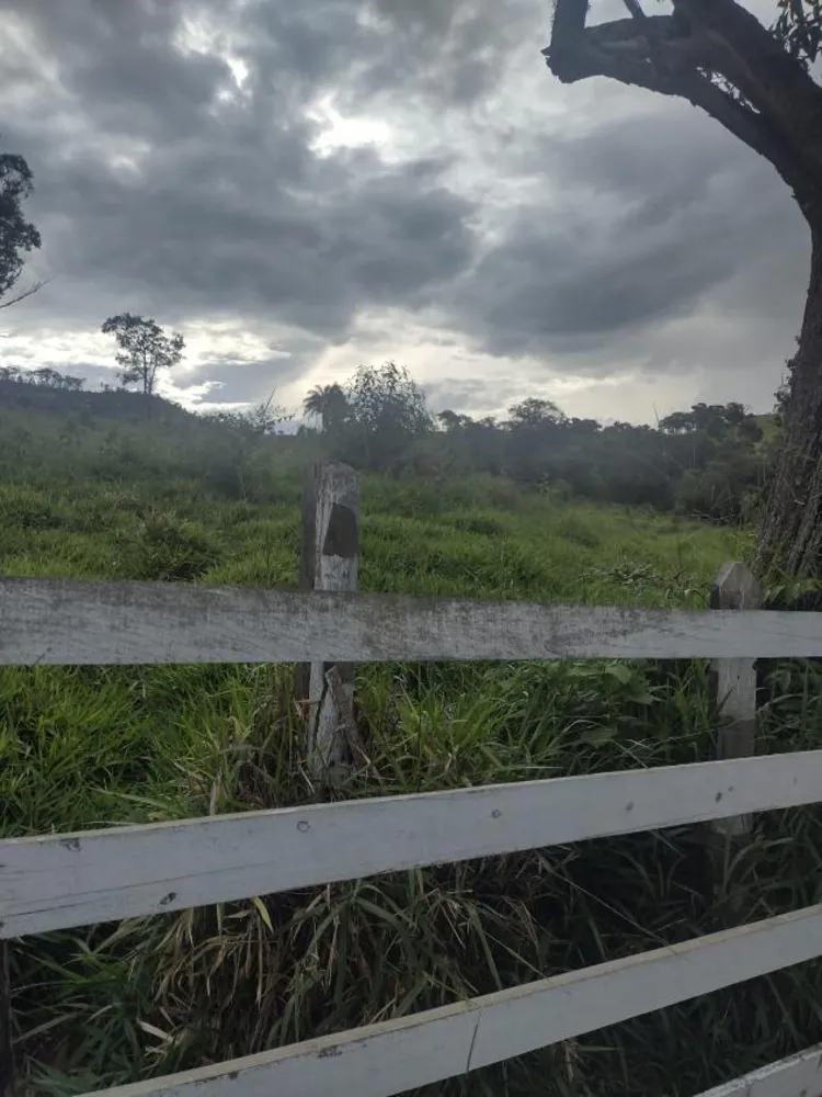 Fazenda - Foto 4