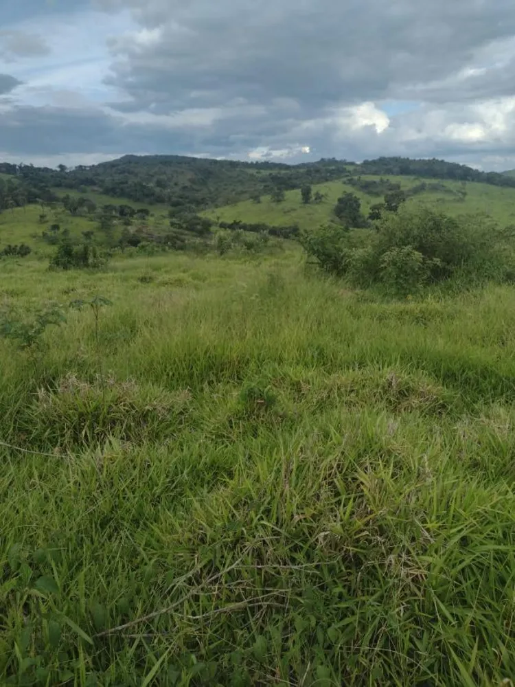 Fazenda - Foto 2