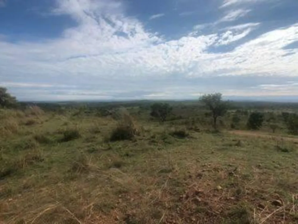 Fazenda - Foto 1