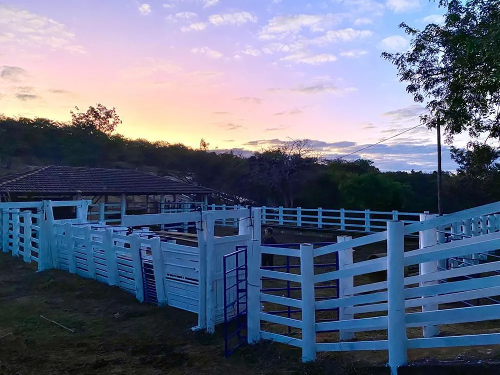 Fazenda - Foto 3