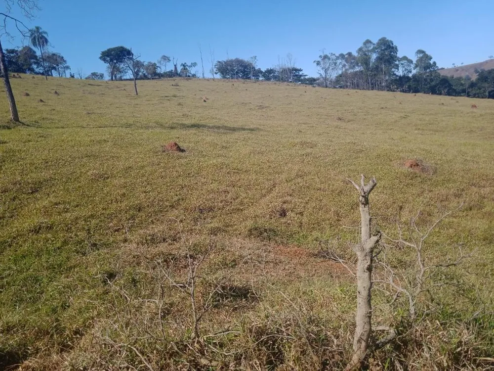 Fazenda - Foto 3