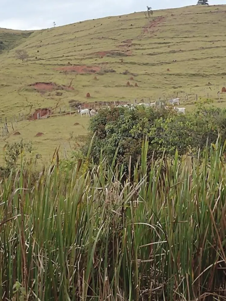 Fazenda - Foto 2