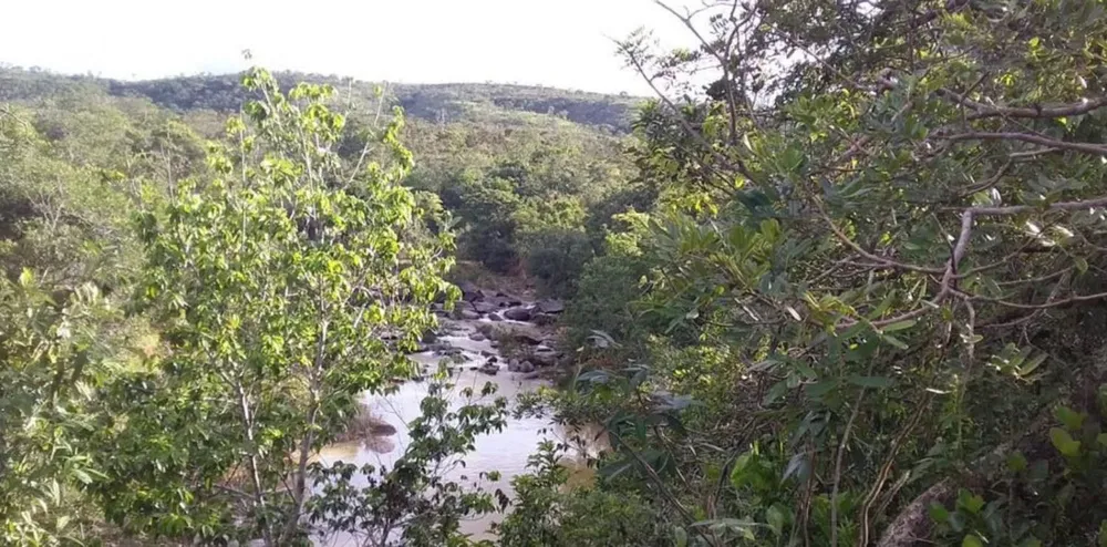 Fazenda - Foto 1