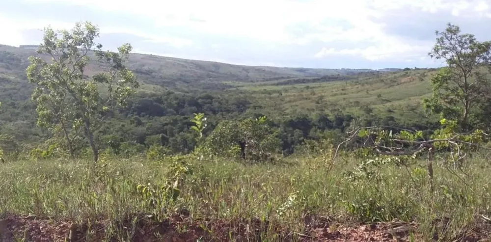 Fazenda - Foto 4