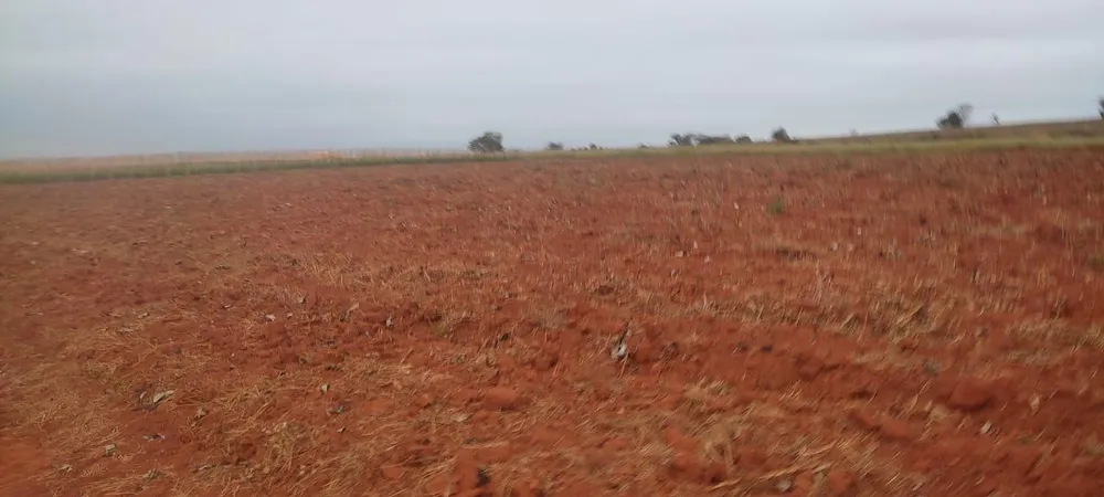 Fazenda - Foto 4