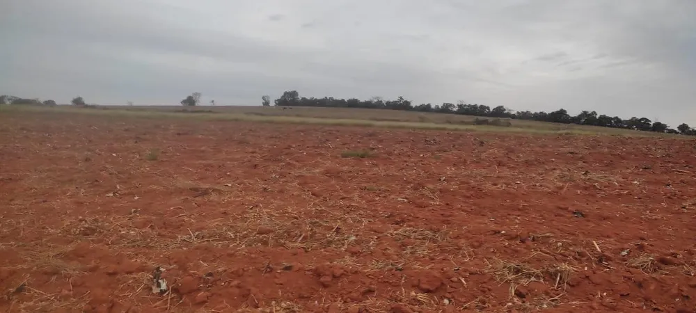 Fazenda - Foto 1