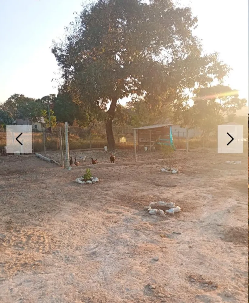 Sítio, 3 quartos, 12 m² - Foto 4