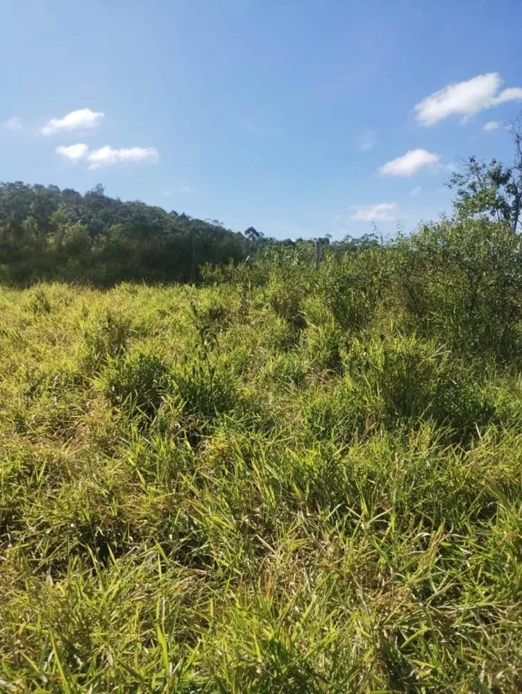 Terreno - Foto 1