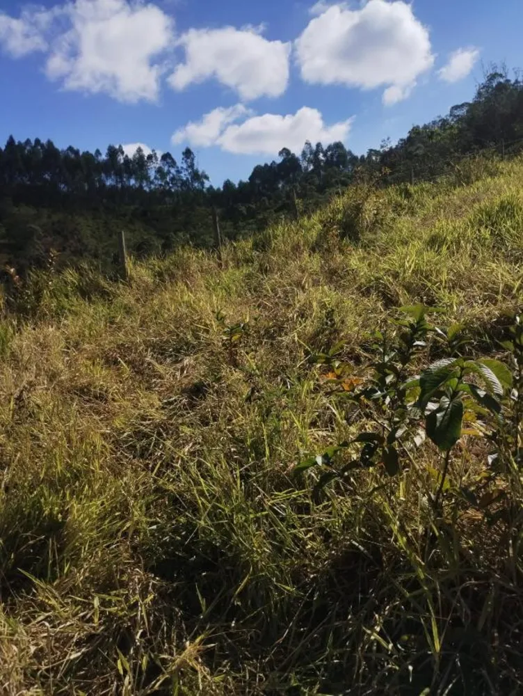 Terreno - Foto 3