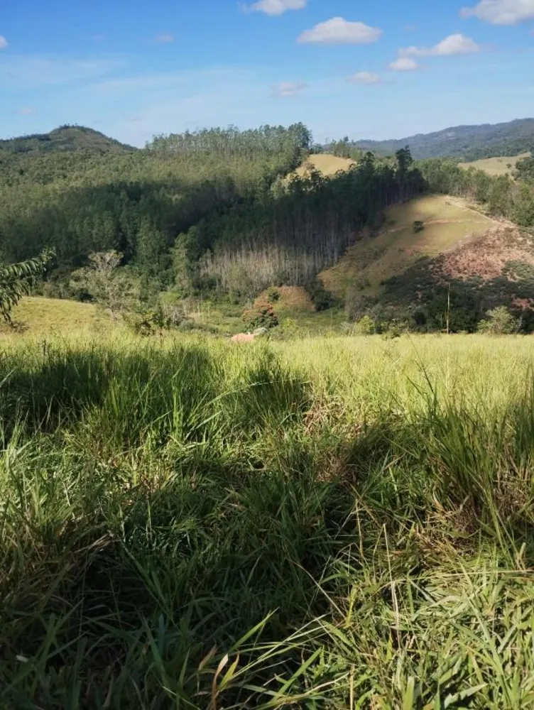 Terreno - Foto 2