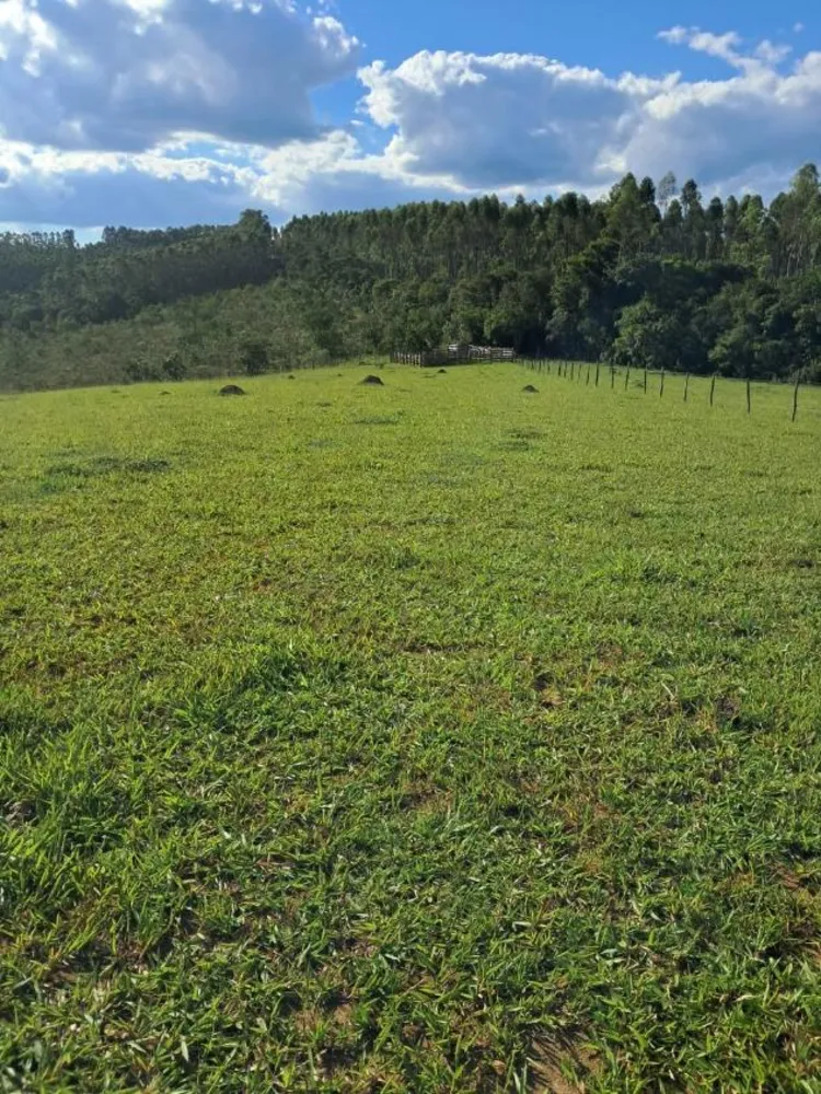 Terreno - Foto 4